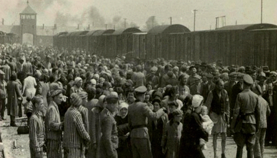 Helping Holocaust survivors in trauma